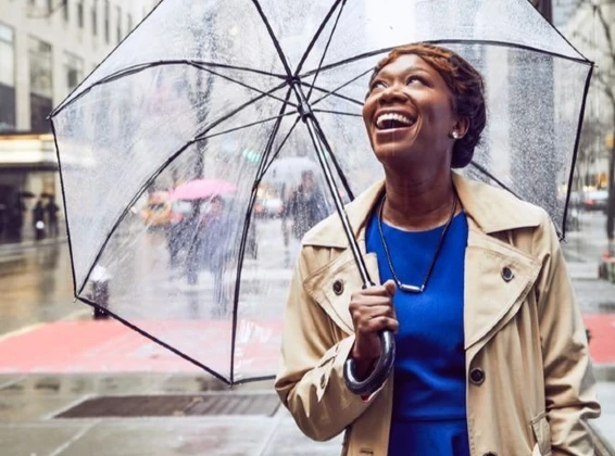 Joy-Ann Reid Author Photo