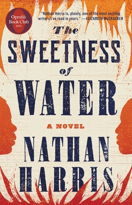Click for a larger image of The Sweetness of Water