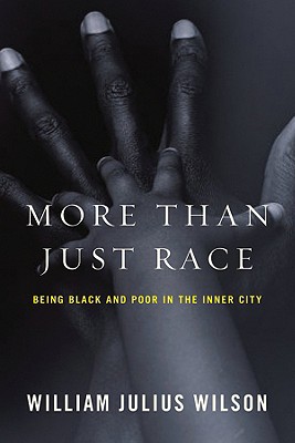 Click for a larger image of More Than Just Race: Being Black And Poor In The Inner City (Issues Of Our Time) Book cover image of More Than Just Race: Being Black And Poor In The Inner City (Issues Of Our Time)