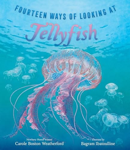 Fourteen Ways of Looking at Jellyfish